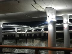 -演武大桥观景平台