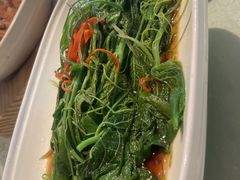 白灼丝瓜尖-大鸭梨烤鸭店(光彩店)