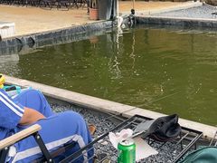 -DGE季风钓虾营地·团建·聚会