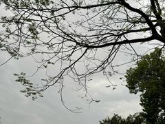 -岭南和园