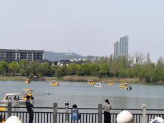 -洋湖国家湿地公园