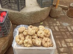 -长兴慧子土特产茶行
