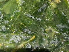 -聚鑫朋酸菜肥肠(文艺路口店)