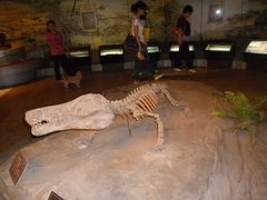 -自贡恐龙博物馆