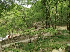 -大岭沟猕猴桃谷风景区