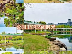 -昆山城市公园