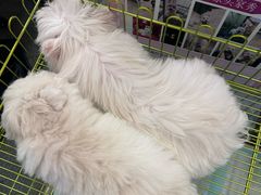 -福巷湘食小馆·猛火现炒(上海首店)