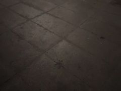 -世博源公馆·本帮融合菜·主题包厢·江景餐厅