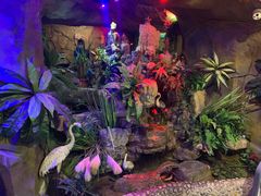 -醉小酒馆·川菜·江湖菜·重庆菜(观音桥旗舰店)