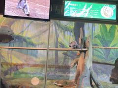 -洛阳龙门海洋馆