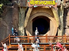 -海合安成都极地海洋公园
