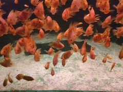 -常州海昌海洋探索馆