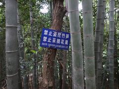 -敬亭山风景名胜区