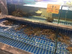 水产区-骏莱海鲜鱼港(五角场店)