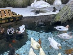 -海合安青岛极地海洋公园