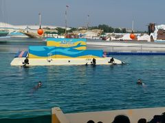 -秦皇岛乐岛海洋王国