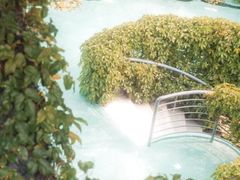 -芒洲湿地公园