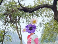 -星湖旅游景区七星岩