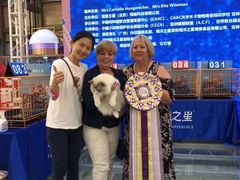 -青奢宠物·青奢猫舍