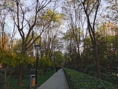 -唐城墙遗址公园