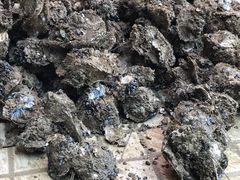 -濠轩阁特色生蚝火锅(水湾路店)