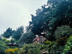 -乌山风景区