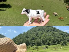 -关山草原