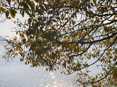 -西昌邛海湿地-月亮湾景区