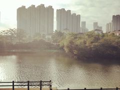 -金山公园