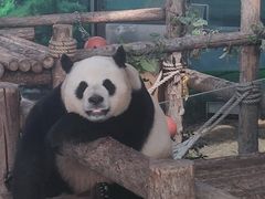 -大连森林动物园