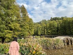 -深圳仙湖植物园