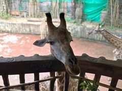 -长鹿旅游休博园