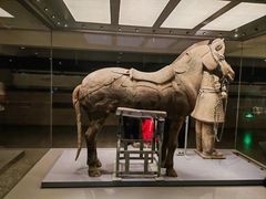 -秦始皇帝陵博物院(兵马俑)