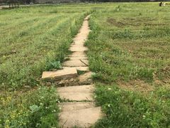 -靖西鹅泉风景区
