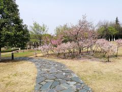 -白塘生态植物园