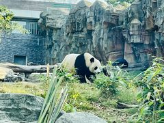 -武汉动物园