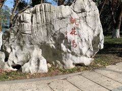 -金鸡湖桃花岛