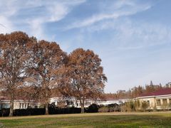 -河南省黄河迎宾馆