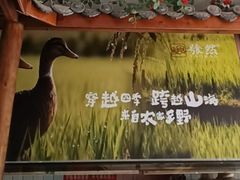 -饕然·民间川菜(龙泉店)
