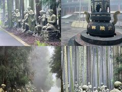 -武陵山森林公园