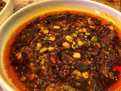 凉拌鸡-铁公鸡·四川料理(天环广场店)