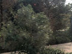 -韶山毛泽东同志故居