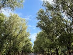 -同里国家湿地公园