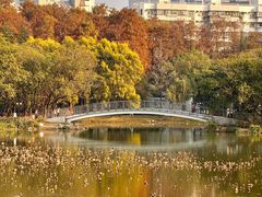 -光明小镇欢乐田园