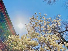 -北京艺术博物馆(万寿寺)