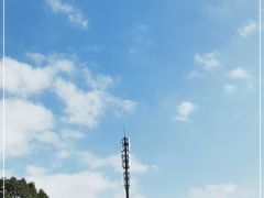 -上海滨江森林公园