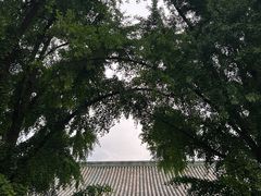 -恭王府博物馆