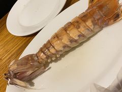 -凯华海鲜火锅·传承三十六年