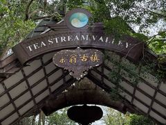 -东部华侨城