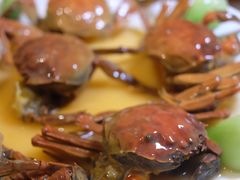 -酌宴府The China Club·广州万富希尔顿酒店(云城东路店)
